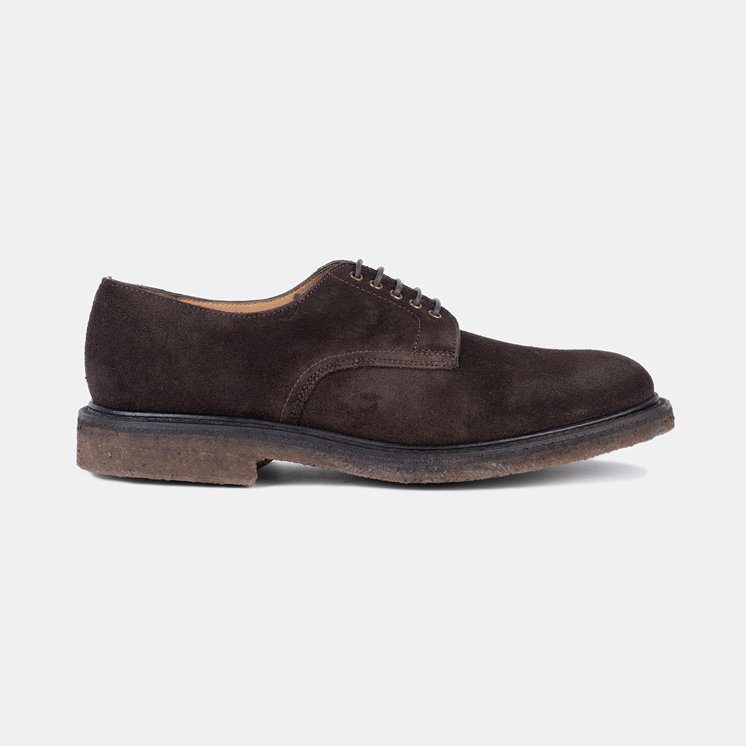 Chichester Derby in Suede Chocolate